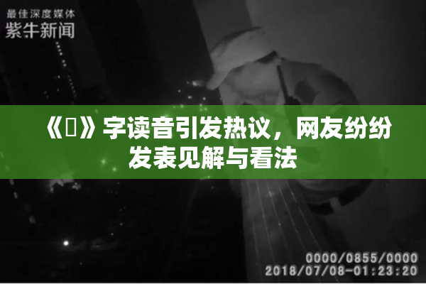 《屍》字读音引发热议，网友纷纷发表见解与看法