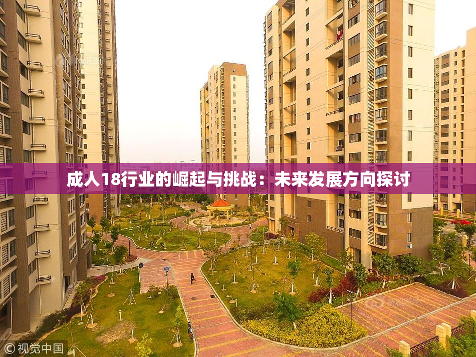 成人18行业的崛起与挑战：未来发展方向探讨