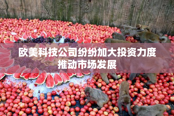 欧美科技公司纷纷加大投资力度推动市场发展