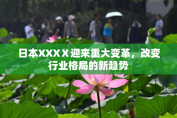 日本XXXⅩ迎来重大变革，改变行业格局的新趋势
