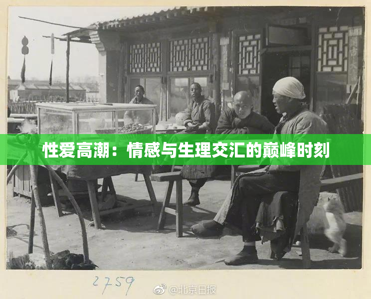 性爱高潮：情感与生理交汇的巅峰时刻