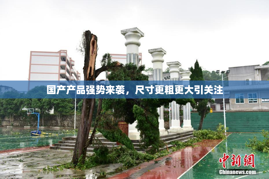 国产产品强势来袭，尺寸更粗更大引关注