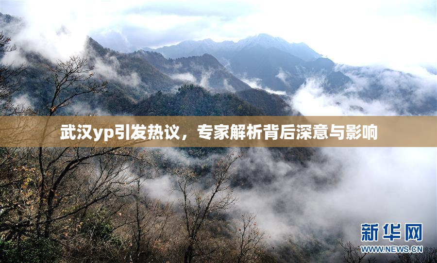 武汉yp引发热议，专家解析背后深意与影响