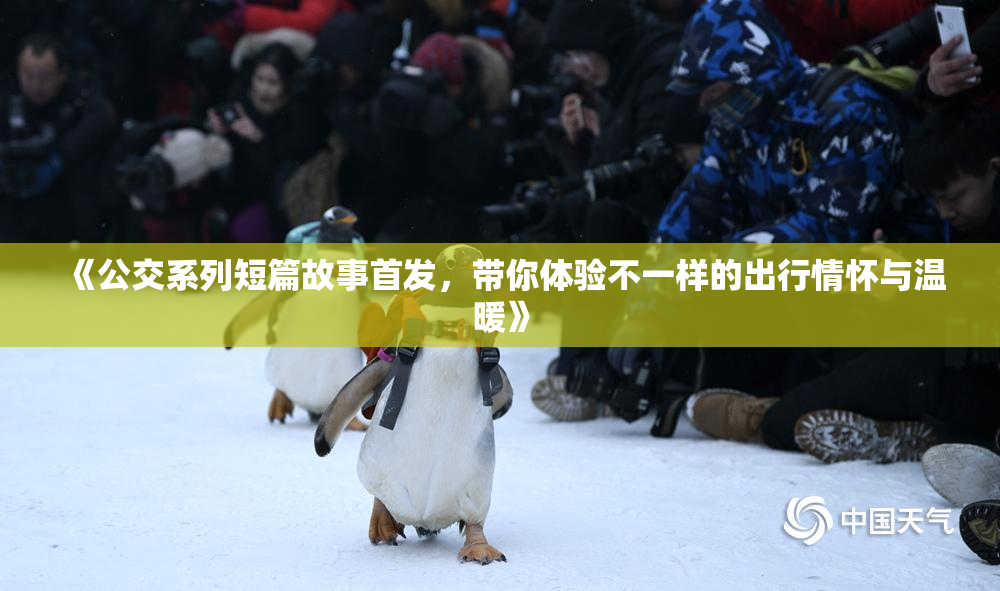 《公交系列短篇故事首发，带你体验不一样的出行情怀与温暖》