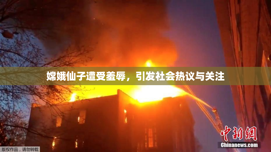 嫦娥仙子遭受羞辱，引发社会热议与关注