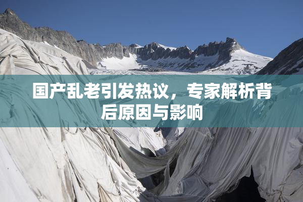 国产乱老引发热议，专家解析背后原因与影响