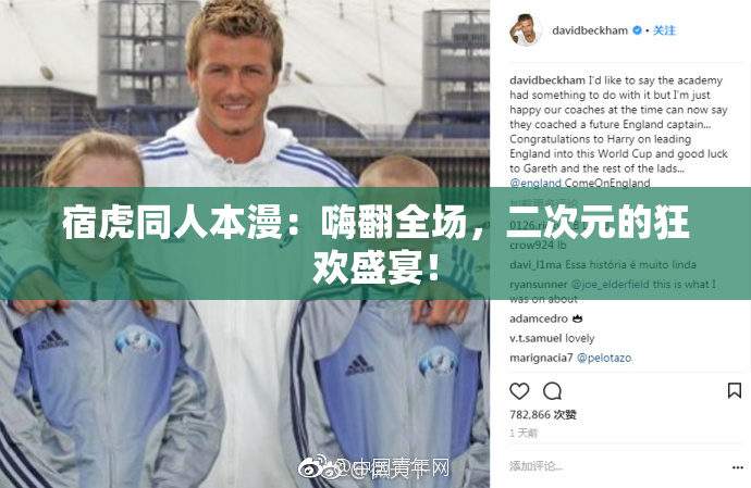 宿虎同人本漫：嗨翻全场，二次元的狂欢盛宴！
