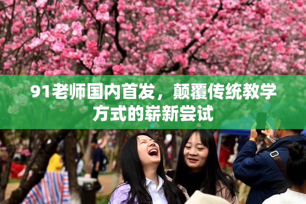 91老师国内首发，颠覆传统教学方式的崭新尝试