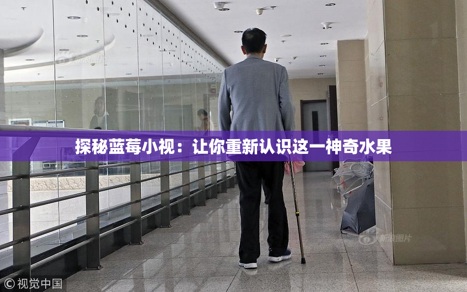 探秘蓝莓小视：让你重新认识这一神奇水果