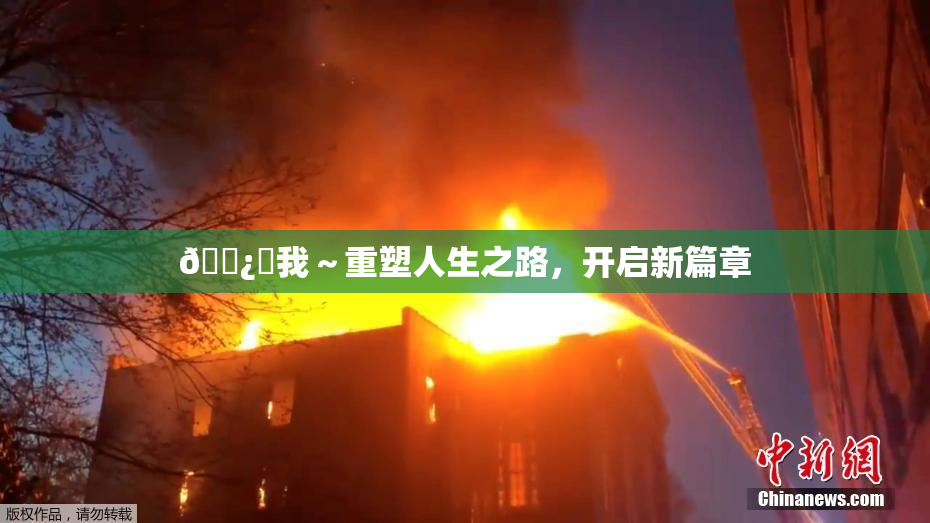 🌿‌我～重塑人生之路，开启新篇章