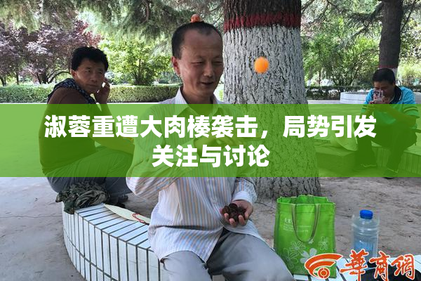 淑蓉重遭大肉楱袭击，局势引发关注与讨论