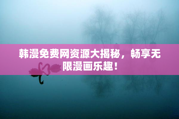 韩漫免费网资源大揭秘，畅享无限漫画乐趣！
