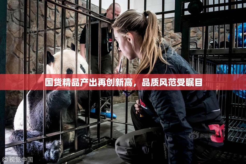 国货精品产出再创新高，品质风范受瞩目