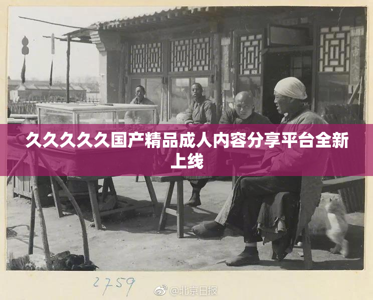 久久久久久国产精品成人内容分享平台全新上线
