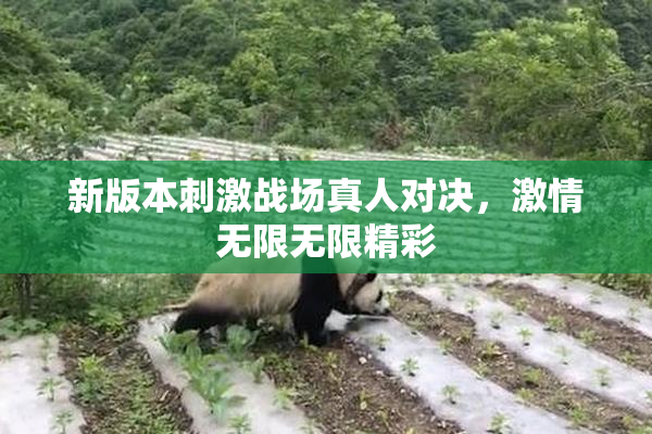 新版本刺激战场真人对决，激情无限无限精彩