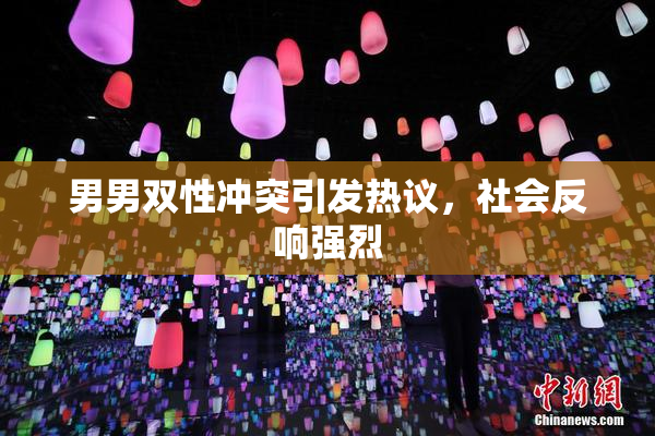男男双性冲突引发热议，社会反响强烈