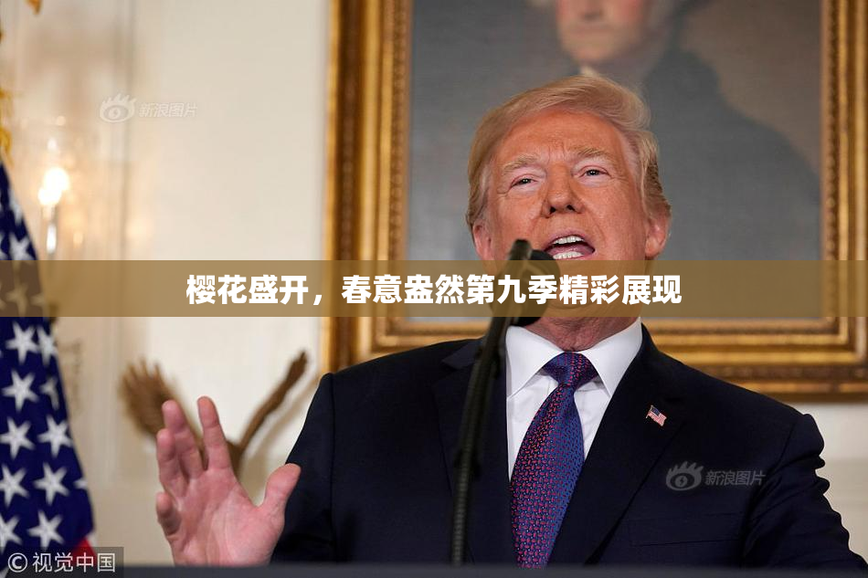 樱花盛开，春意盎然第九季精彩展现