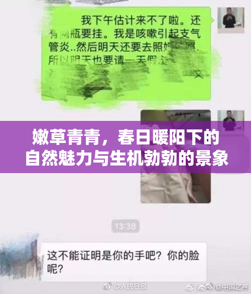 嫩草青青，春日暖阳下的自然魅力与生机勃勃的景象