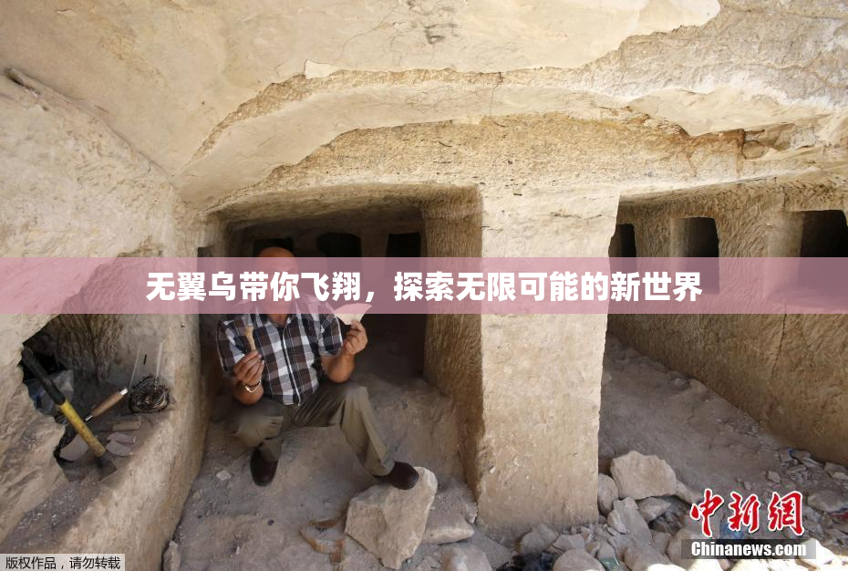 无翼乌带你飞翔，探索无限可能的新世界