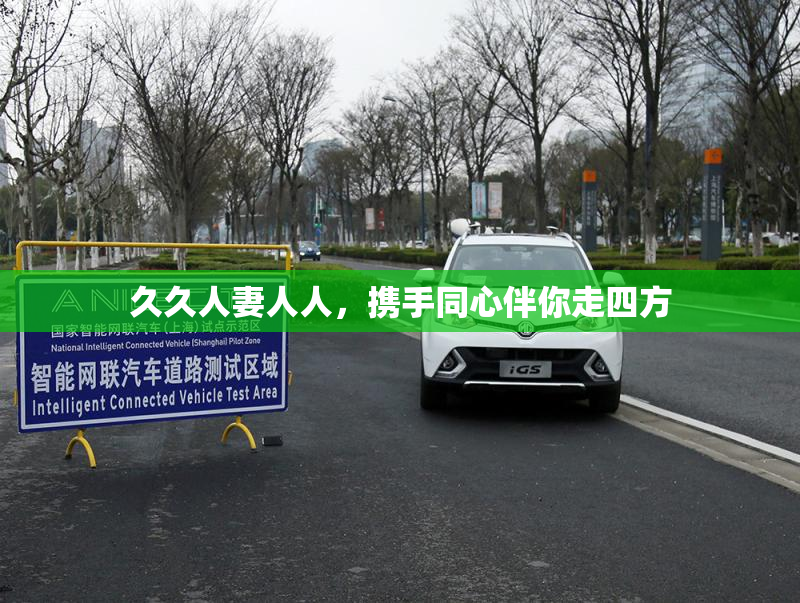 久久人妻人人，携手同心伴你走四方