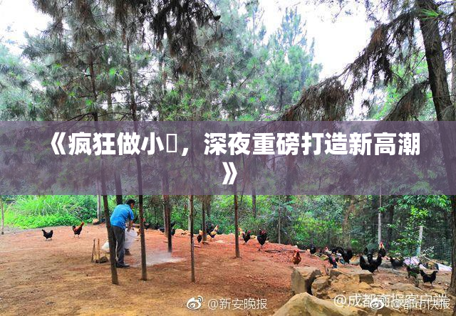 《疯狂做小泬，深夜重磅打造新高潮》