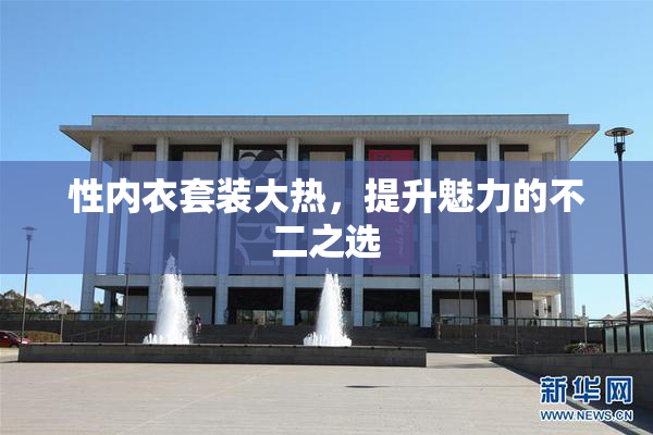 性内衣套装大热，提升魅力的不二之选