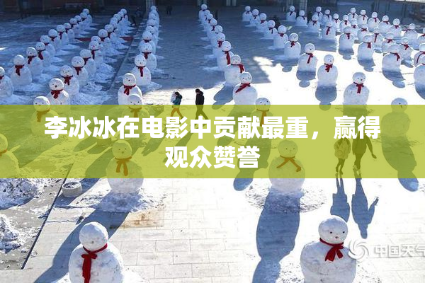 李冰冰在电影中贡献最重，赢得观众赞誉