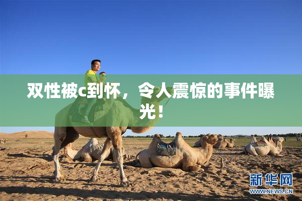 双性被c到怀，令人震惊的事件曝光！