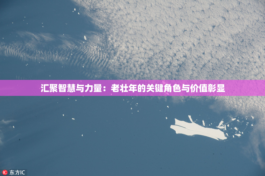 汇聚智慧与力量：老壮年的关键角色与价值彰显