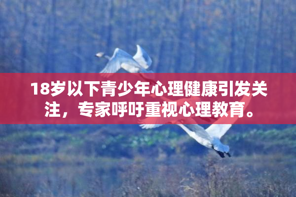 18岁以下青少年心理健康引发关注，专家呼吁重视心理教育。