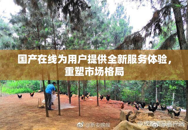 国产在线为用户提供全新服务体验，重塑市场格局