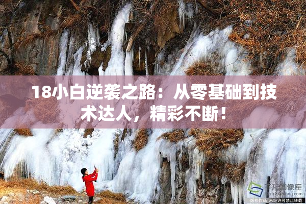 18小白逆袭之路：从零基础到技术达人，精彩不断！