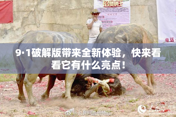 9·1破解版带来全新体验，快来看看它有什么亮点！