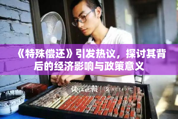 《特殊偿还》引发热议，探讨其背后的经济影响与政策意义