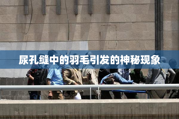 尿孔缝中的羽毛引发的神秘现象