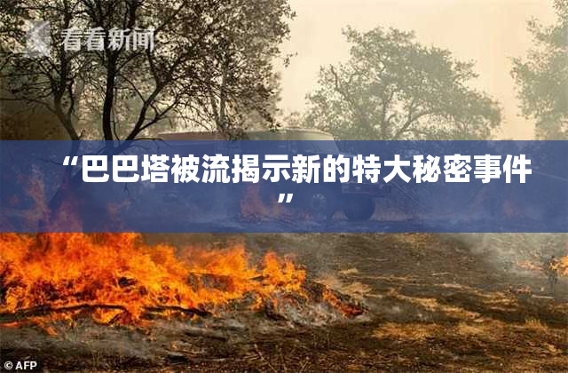 “巴巴塔被流揭示新的特大秘密事件”