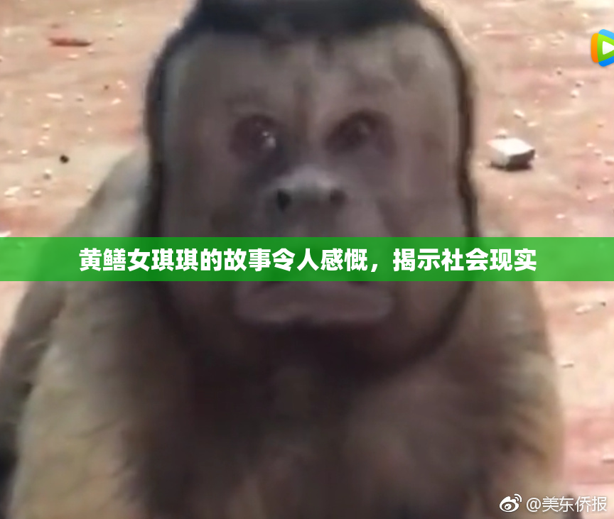 黄鳝女琪琪的故事令人感慨，揭示社会现实