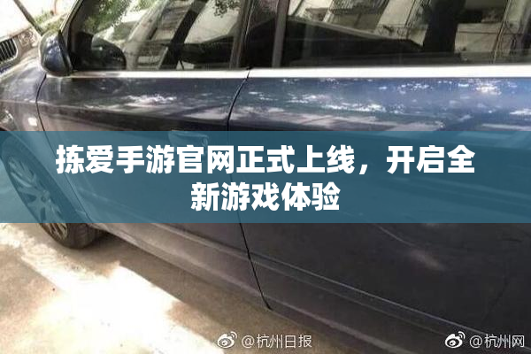 拣爱手游官网正式上线，开启全新游戏体验