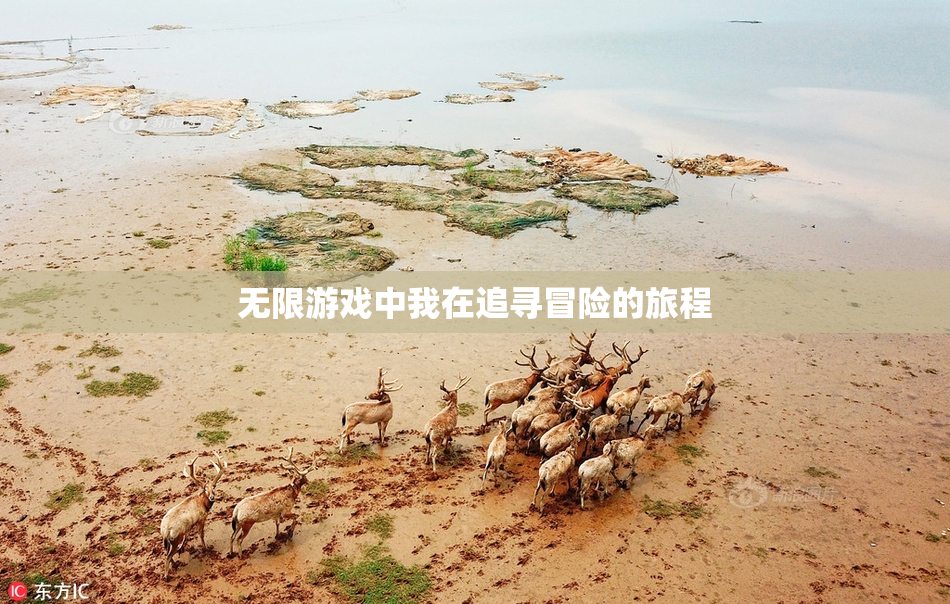 无限游戏中我在追寻冒险的旅程