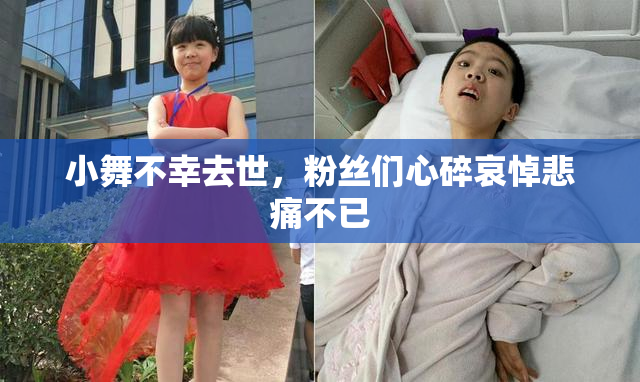 小舞不幸去世，粉丝们心碎哀悼悲痛不已