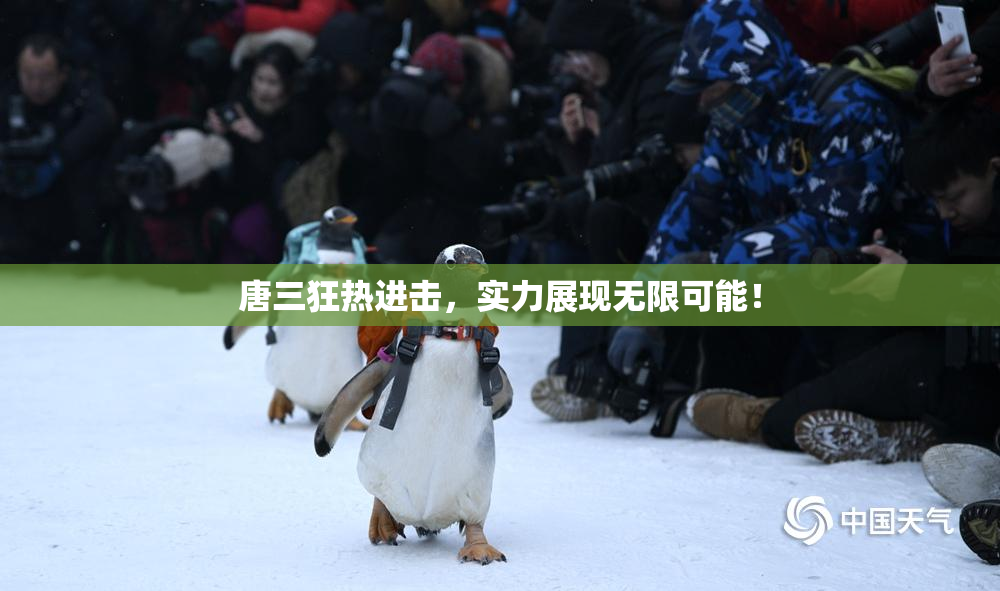 唐三狂热进击，实力展现无限可能！