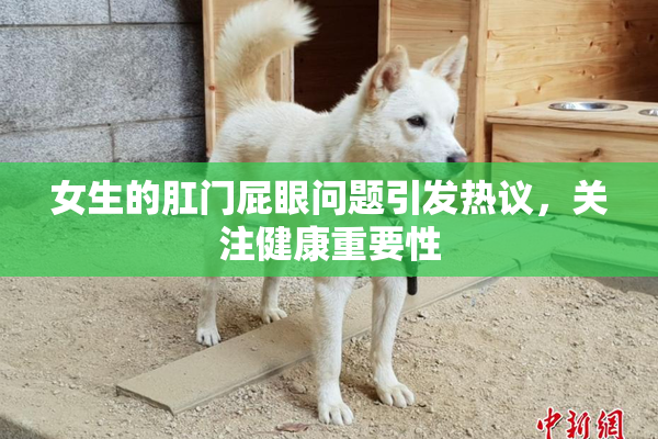 女生的肛门屁眼问题引发热议，关注健康重要性