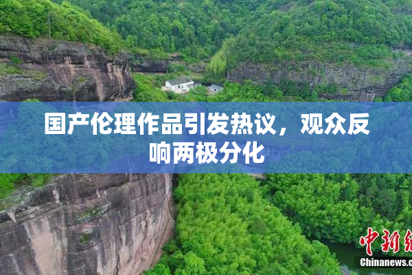 国产伦理作品引发热议，观众反响两极分化