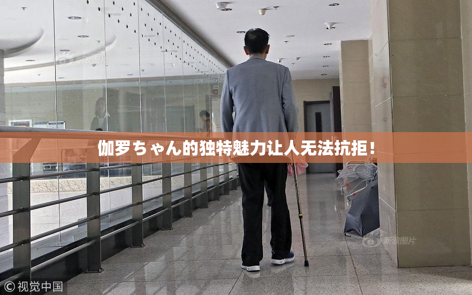 伽罗ちゃん的独特魅力让人无法抗拒！