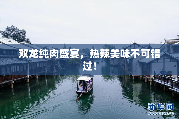 双龙纯肉盛宴，热辣美味不可错过！