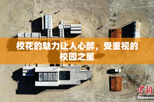校花的魅力让人心醉，受重视的校园之星