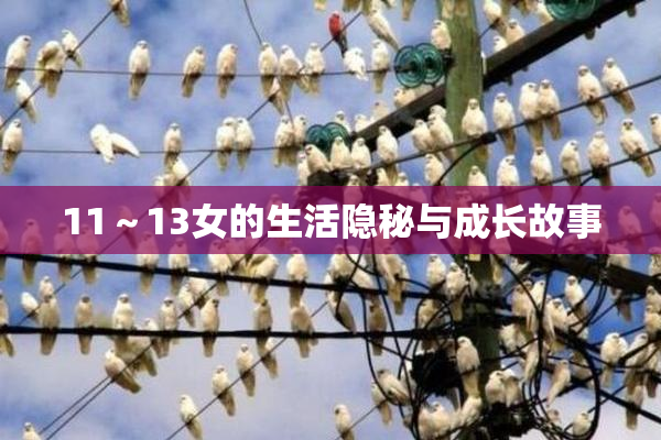 11～13女的生活隐秘与成长故事