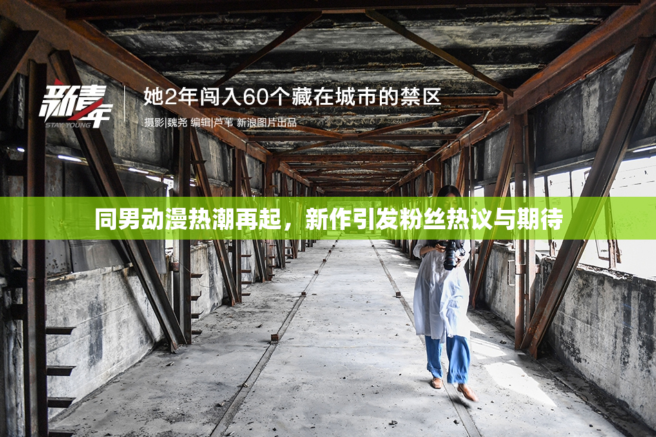 同男动漫热潮再起，新作引发粉丝热议与期待