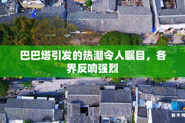 巴巴塔引发的热潮令人瞩目，各界反响强烈