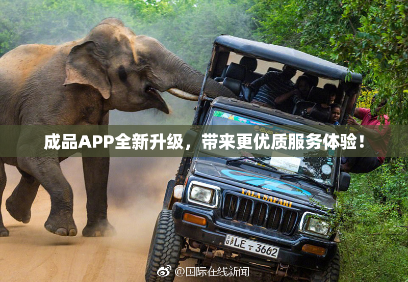 成品APP全新升级，带来更优质服务体验！